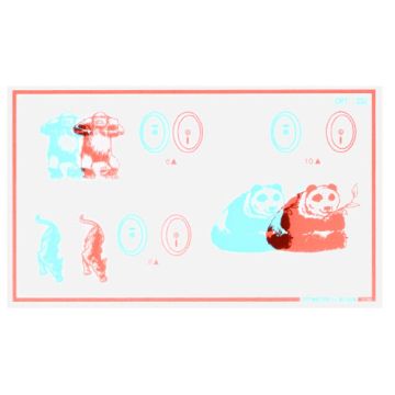 Stereo Zoo-Vergenzkarte 2